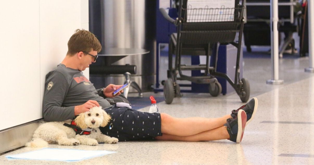 Perro pequeno color blanco sentado en el suelo de un aeropuerto junto a su amo que es hombre joven adulto vestido con bermudas y remera azules que confirma en smartphone que arribara a uno de los hoteles pet friendly
